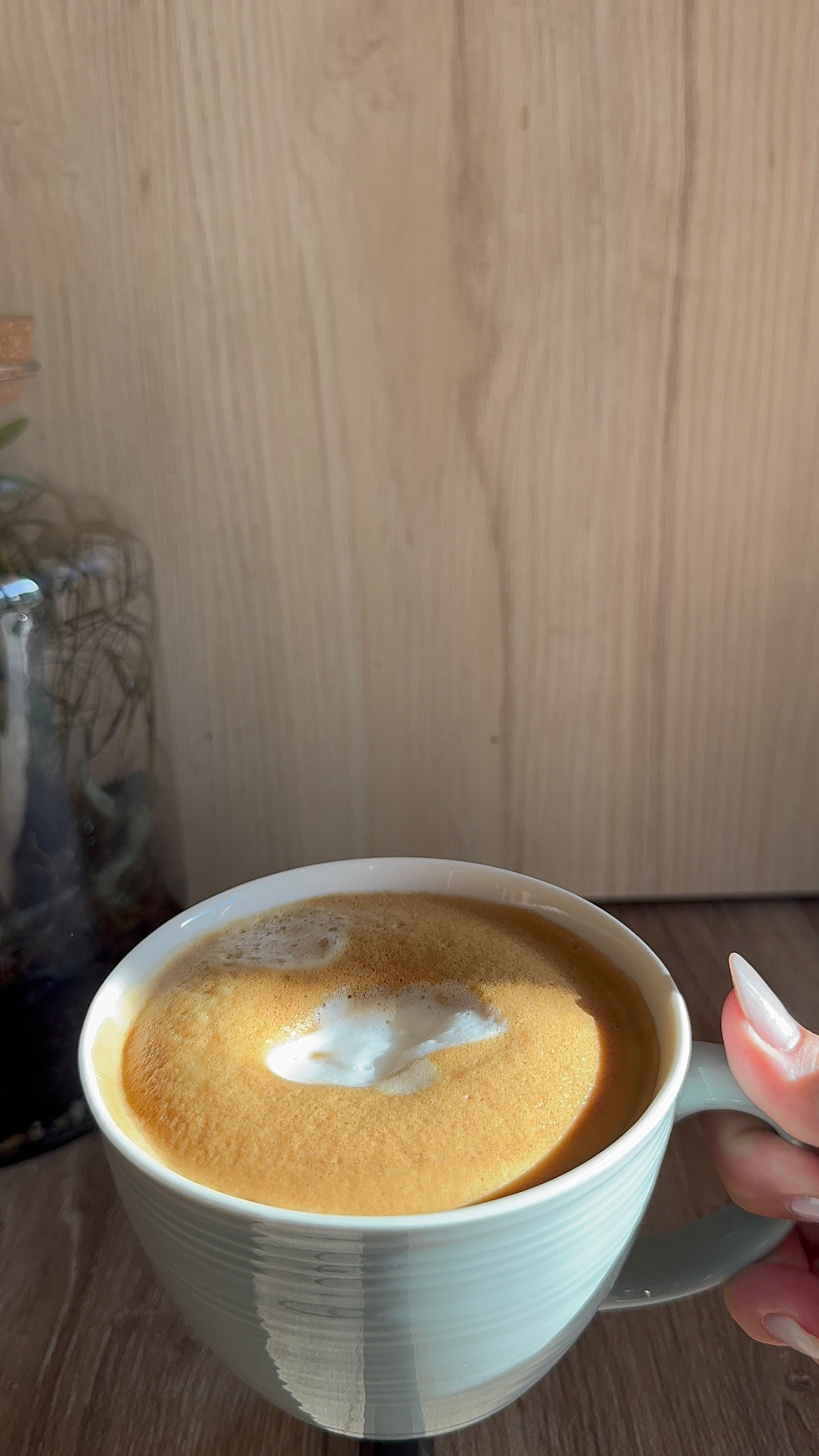 4 Tazas Darby 35 cl New Bone - Elegancia y calidades en cada café | StyleHomeshop