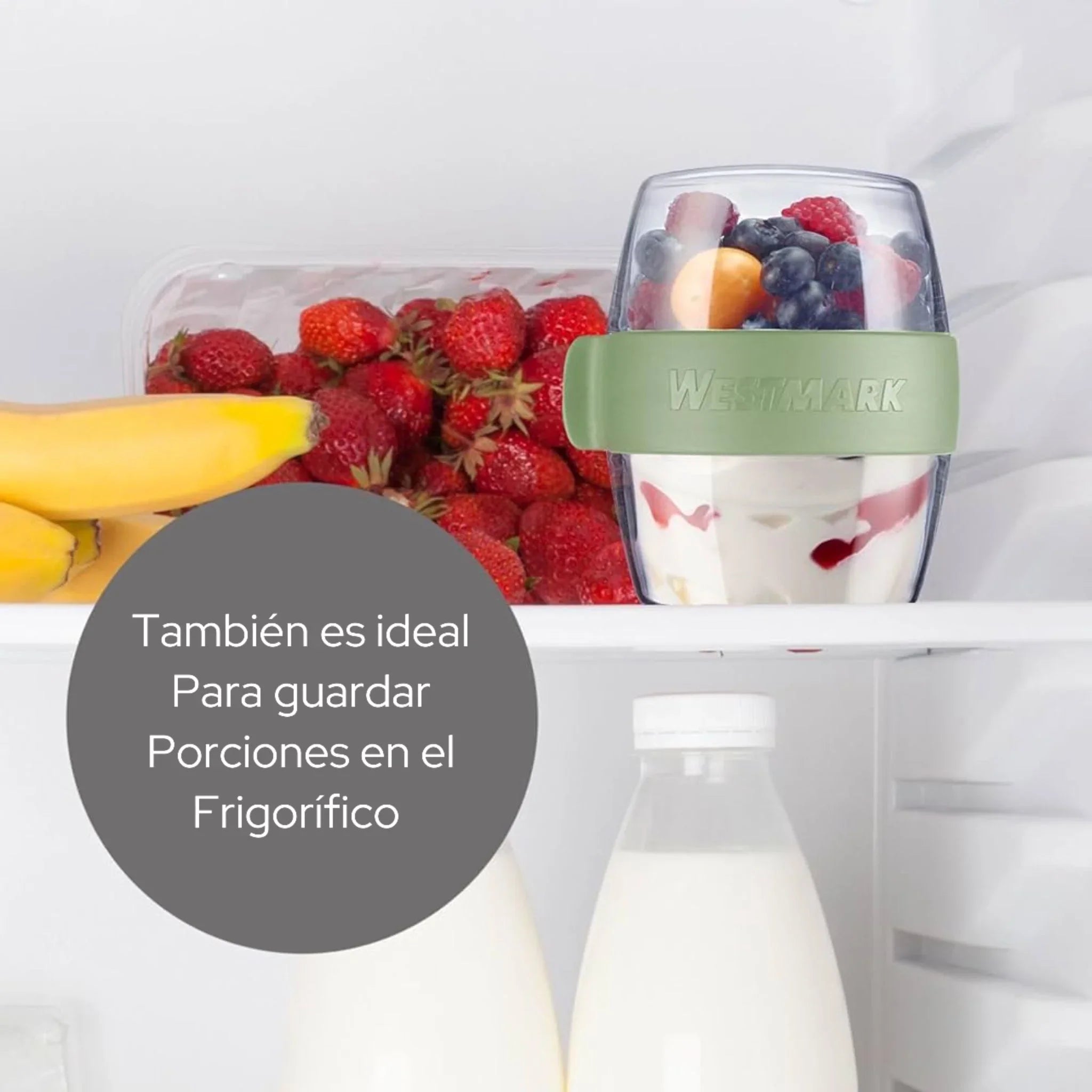 Lunchpot Westmark 400 ml – Edición MINI para snacks y meriendas saludables (+Colores) - Style Home Shop