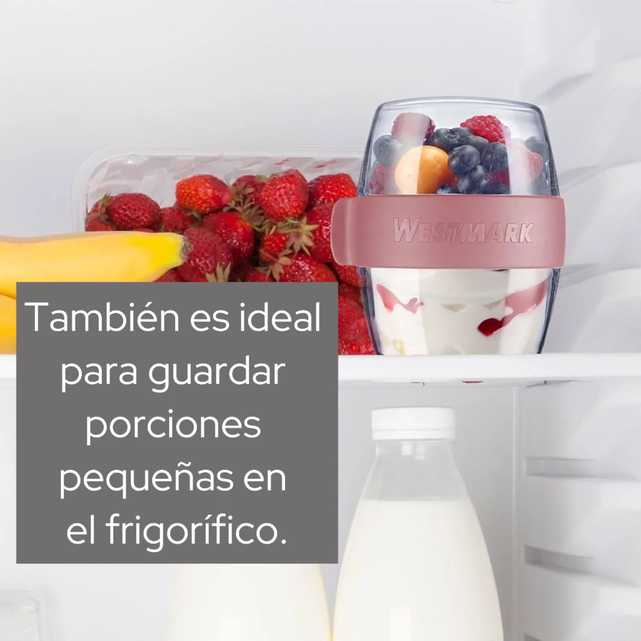Lunchpot Westmark 400 ml – Edición MINI para snacks y meriendas saludables (+Colores) - Style Home Shop